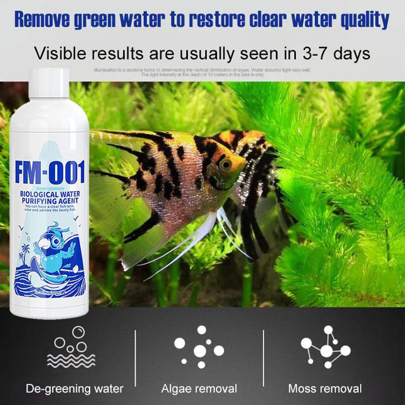 🐠 Half Price for a Limited Time 💦 Fish Tank Water Purifier Algaecide