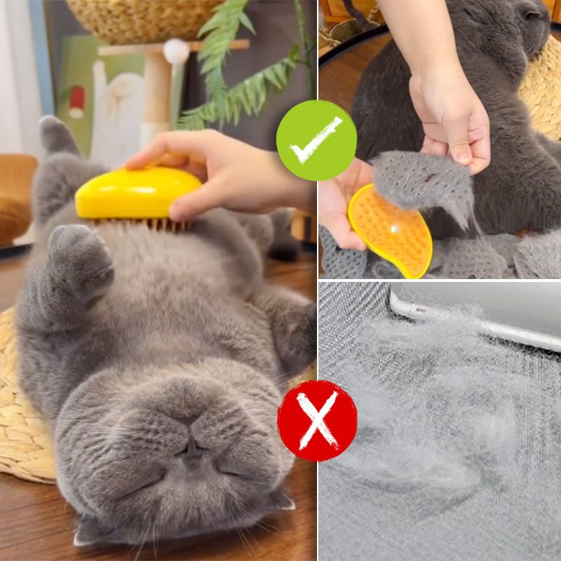 Anti-splashing Cat Brush with Steam Spray - Great Gift