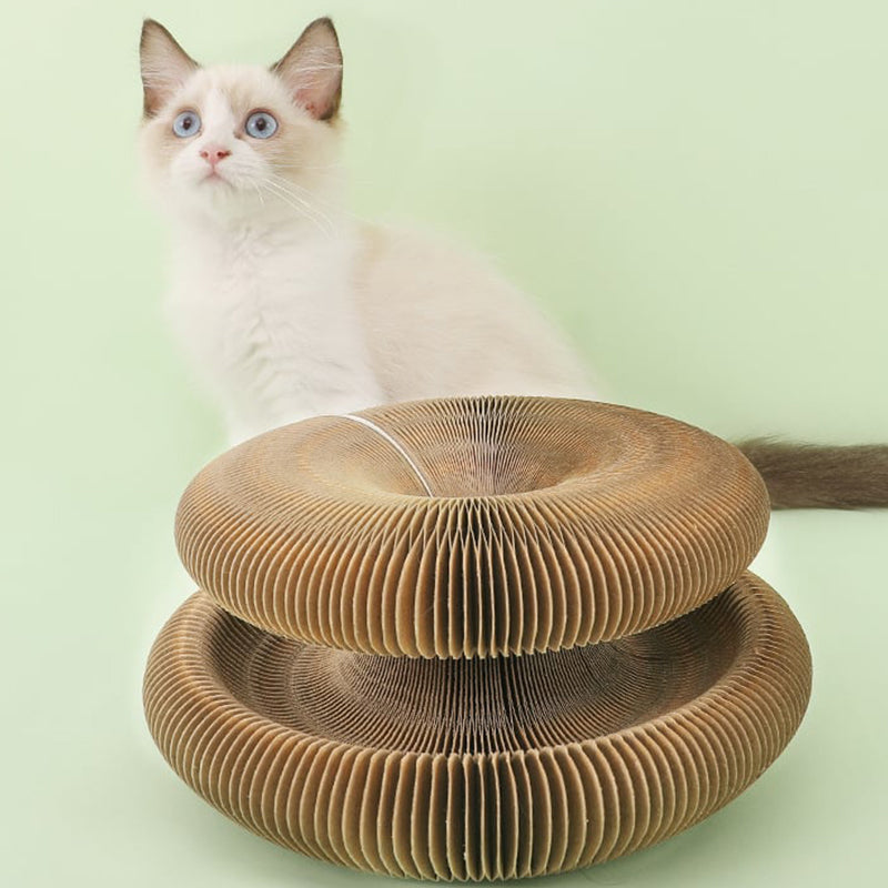 The Perfect Toy for Your Cat—With a Twist!