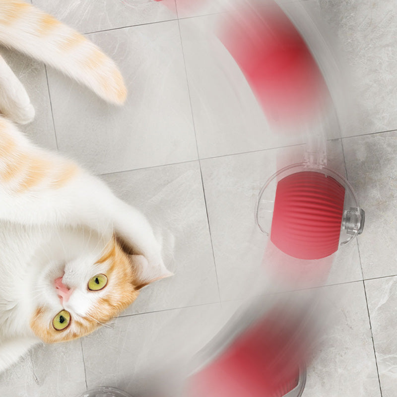 Smart Automatic Rolling Pet Ball