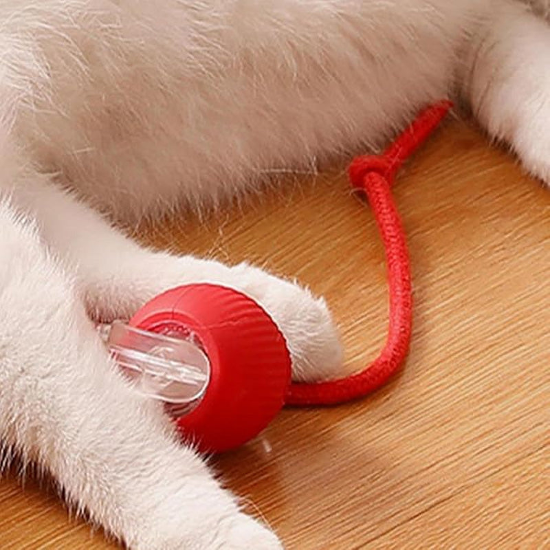 Smart Automatic Rolling Pet Ball