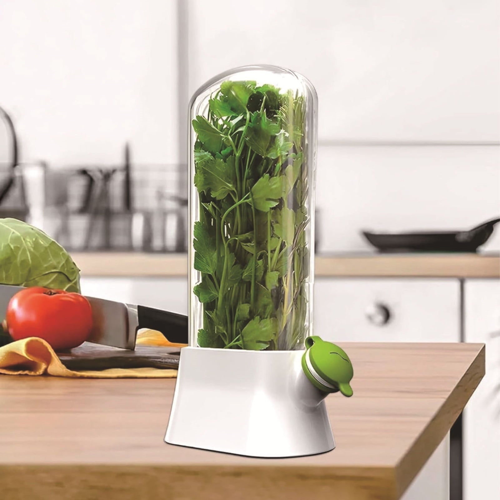 Herb Keeper for Refrigerator